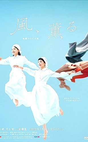 盗妖行海报